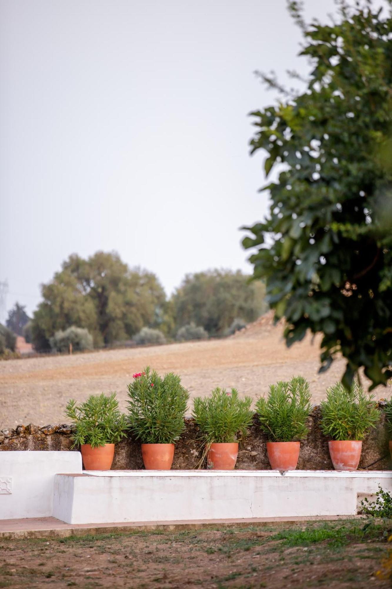 Monte Da Hortinha Villa Estremoz Exterior photo